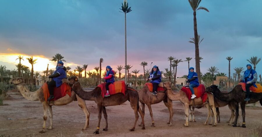 Marrakech: Private Palm Grove Camel and Quad Bike Ride - The Berber tea stop