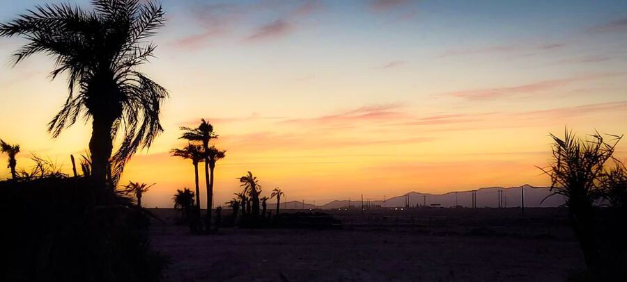 Marrakech: Private Palm Grove Camel and Quad Bike Ride - Why sunset is worth considering