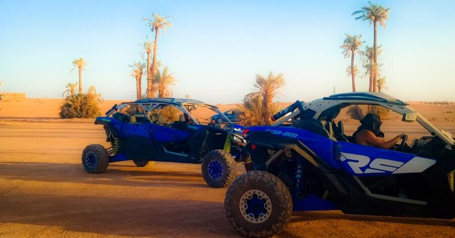 Marrakech: Private Palm Grove Camel and Quad Bike Ride - What the $58 price really covers