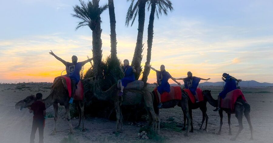 Marrakech: Private Palm Grove Camel and Quad Bike Ride - Who will enjoy this outing most