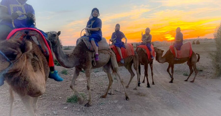 Marrakech: Private Palm Grove Camel and Quad Bike Ride - Practical details that can affect your day