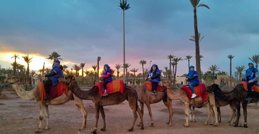 Marrakech: Private Palm Grove Camel and Quad Bike Ride - The one-hour camel ride
