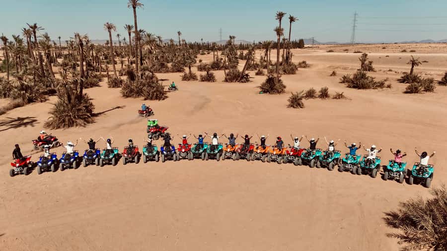 Marrakech: Quad activity in the Palmeraie with Tea break - Palm groves, village life, and the Atlas view