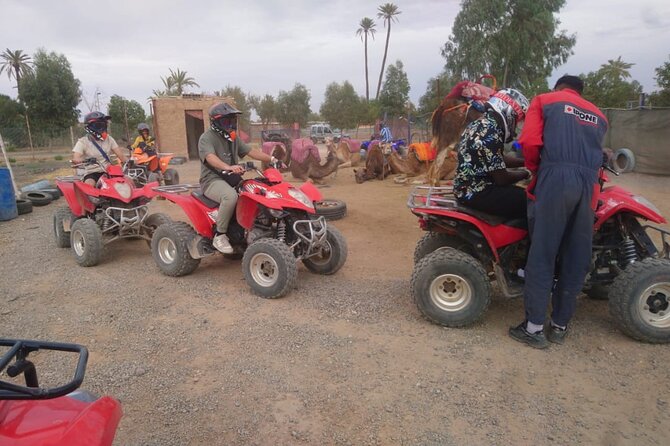 Marrakech Quad Bike Activity in desert palmeraies grove - The quad ride: rocky ground, palms, and Atlas views