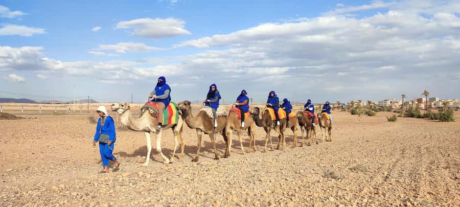 Marrakech: quad bike and Camel Ride in Marrakech - Two Marrakech adventures in four hours