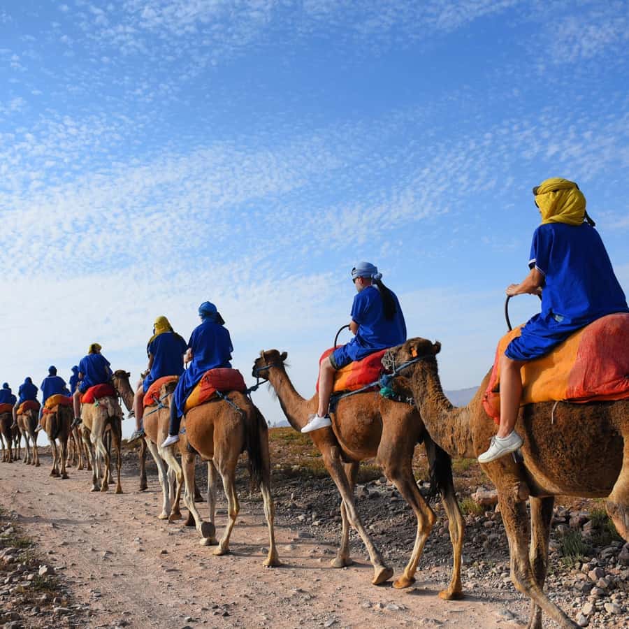 Marrakech: quad bike and Camel Ride in Marrakech - Mint tea, bread, and a welcome pause