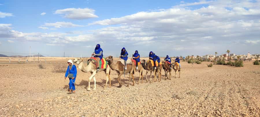 Marrakech: quad bike and Camel Ride in Marrakech - Two hours on quad bikes through the Palmeraie