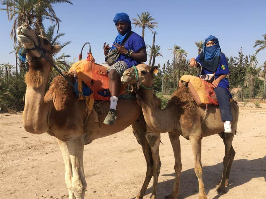 Marrakech: Quad Bike and Camel Ride Tour - Who should book this Marrakech outing?