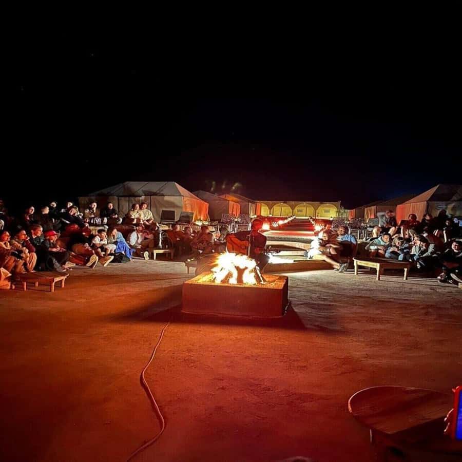 Marrakech : Quad Bike and Camel Ride with dinner in Agafay - Who will enjoy this outing most?