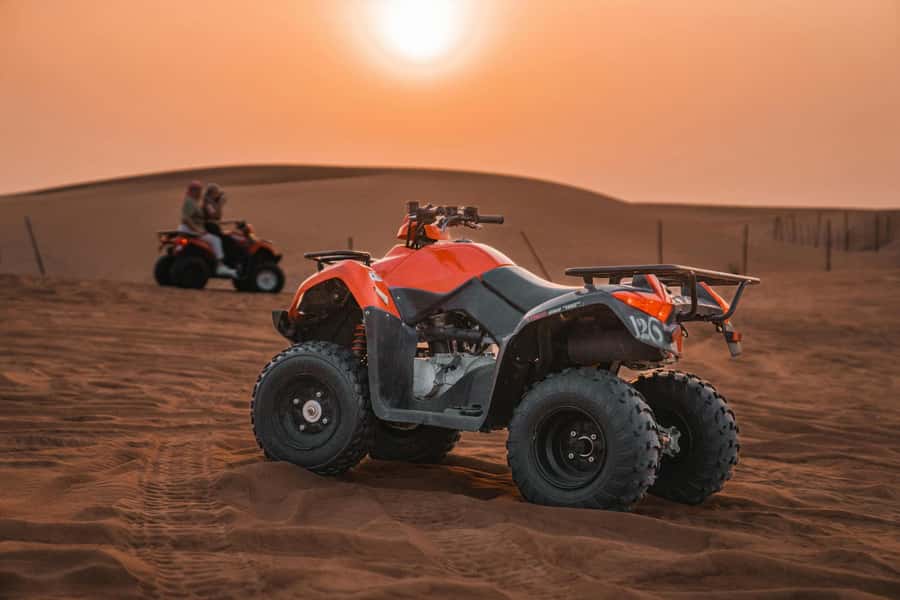 Marrakech : Quad Bike and Camel Ride with dinner in Agafay - Is $34 a good price?