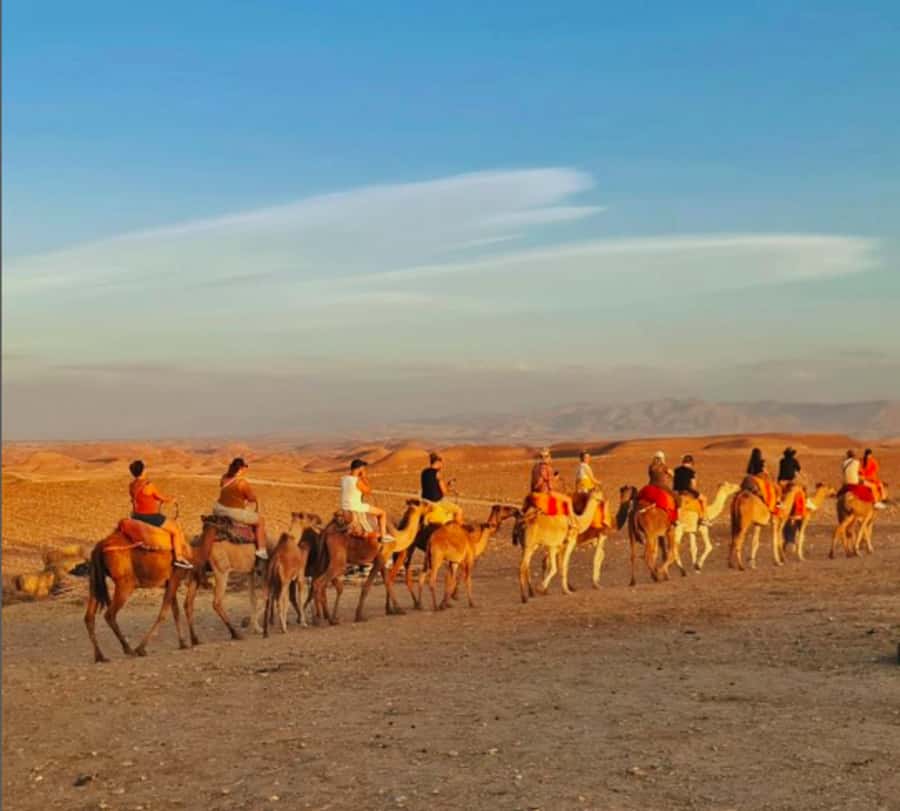Marrakech: Quad Bike & Camel with dinner show & sunset - The guides and the human side of the trip
