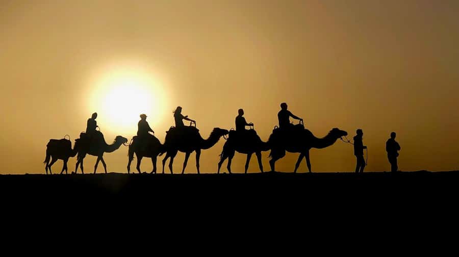 Marrakech: Quad Bike & Camel with dinner show & sunset - Quad biking across Agafay’s stony ground