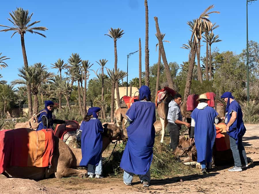 Marrakech: Quad Bike excursion at the sunset with Tea Break - Moroccan tea in the Jbilet Desert