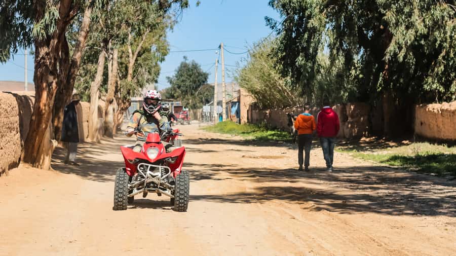 Marrakech Quad Bike Experience: Desert and Palmeraie - From Marrakech Streets to the Jbilets Desert