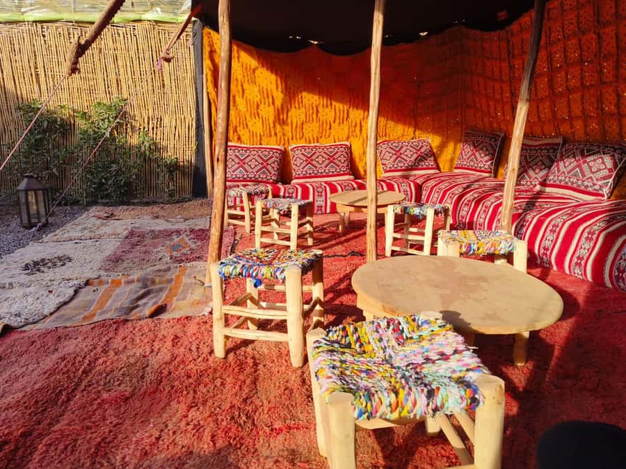 Marrakech: Quad Bike Tour to Palm Oasis and Jbilat Desert - Is $15 genuinely good value?