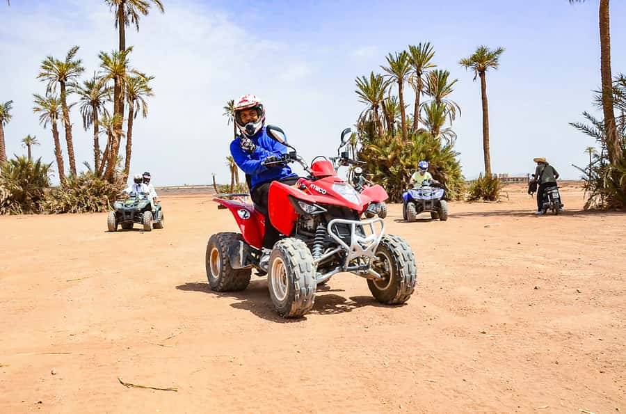 Marrakech: Quad Bike Tour to Palm Oasis and Jbilat Desert - Mint tea, bread, honey, and a quiet pause
