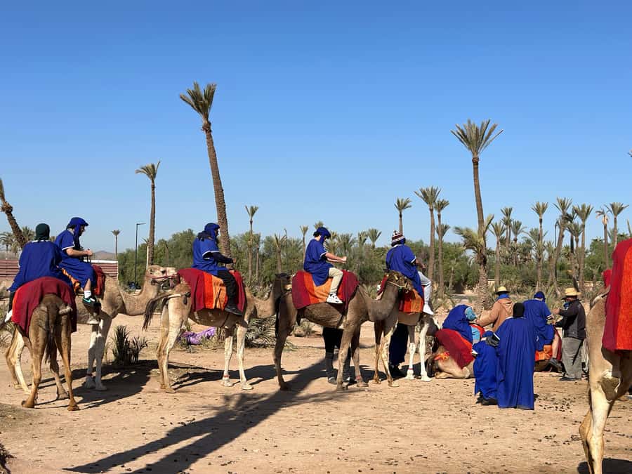 Marrakech:quad excursion at Jbilet desert with Moroccan tea - The tea stop that slows everything down