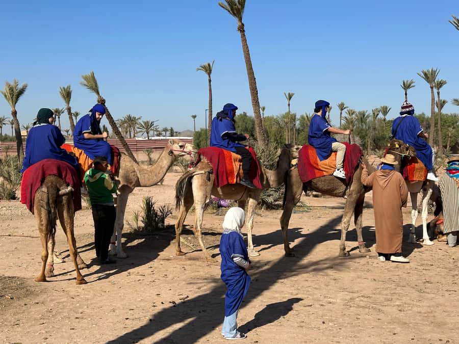 Marrakech:quad excursion at Jbilet desert with Moroccan tea - What the $17 price really gives you