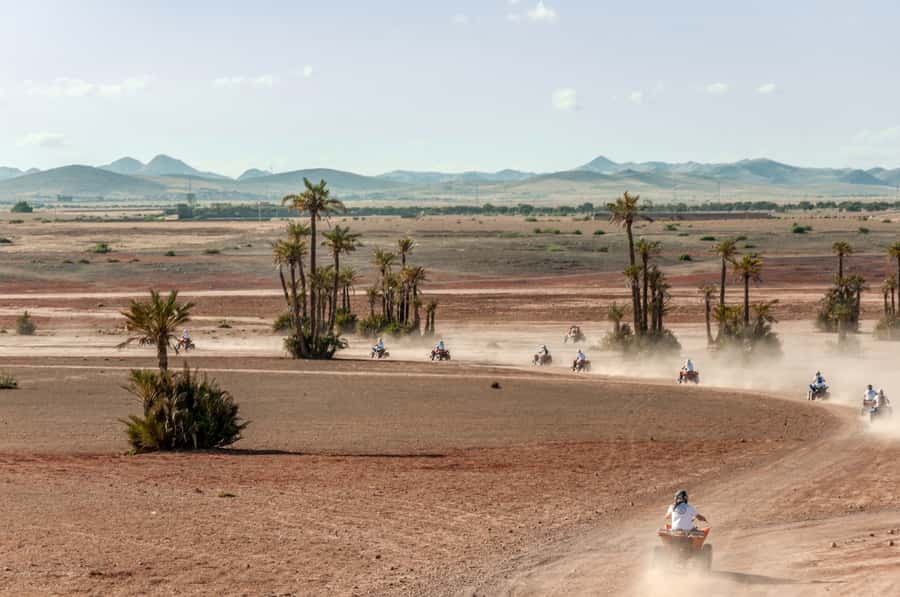 Marrakech: Quad Tour in Jbilets Desert with Palm Grove - One hour through dusty tracks and palm trees