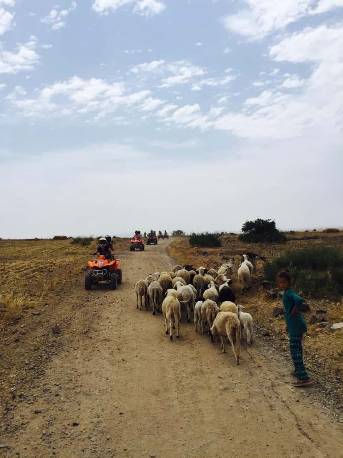 Marrakech: Quad Tour in Jbilets Desert with Palm Grove - Who should book this outing?