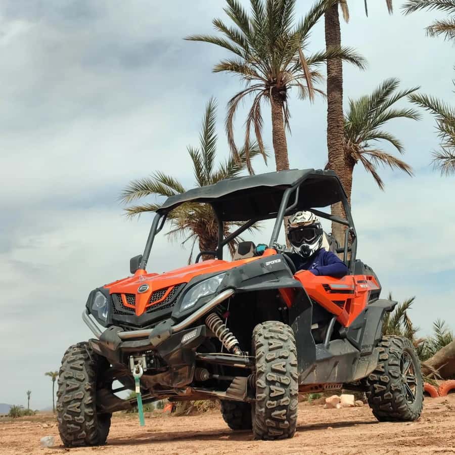 Marrakech : Ride buggy in the desert of the palm grove - Two hours through palms, villages, and open desert
