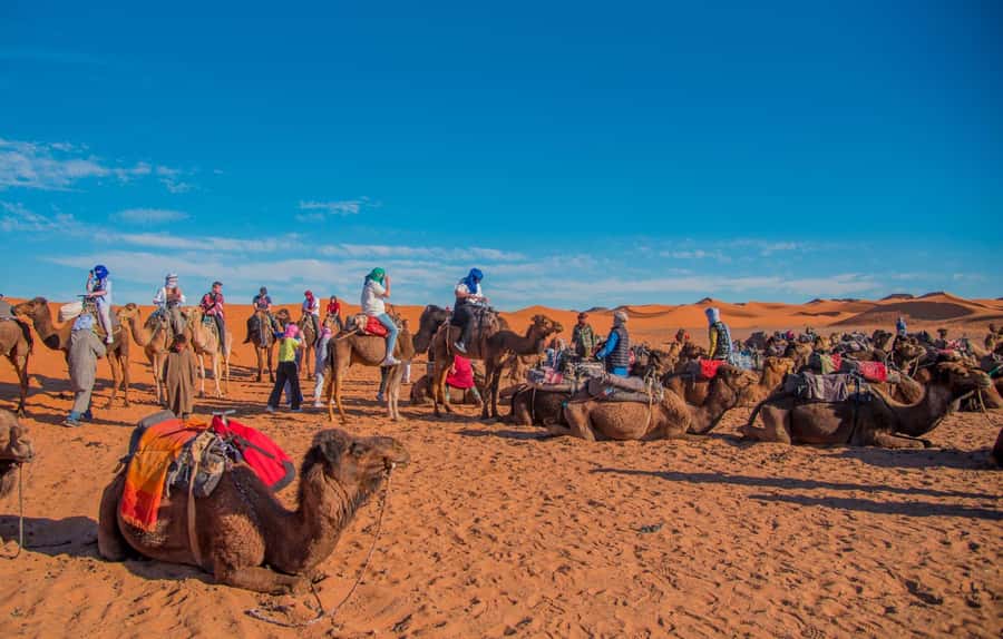 Marrakech to Fes: 3-Day Merzouga Desert Camel & Sandboarding - Ait Benhaddou, Morocco’s famous fortified village