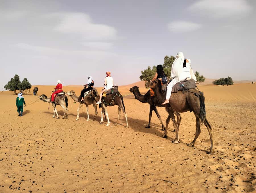 Marrakech to Fes 3 Days Sahara Desert Tour With Camel & Quad - Camel riding into the Erg Chebbi dunes