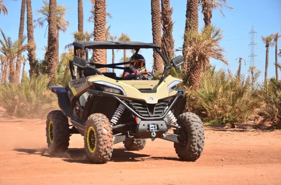 Marrakech: Tour Buggy 1000cc In Palm Oasis and Jbilat Desert - Your first tracks through the Palmeraie