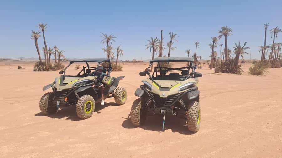 Marrakech: Tour Buggy 1000cc In Palm Oasis and Jbilat Desert - Mint tea at a traditional villa