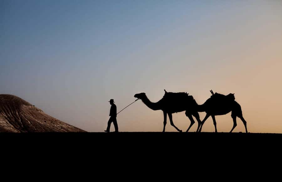 Marrakesh: Agafay Desert Quad & Camel Tour with Dinner - Key points to know before you book