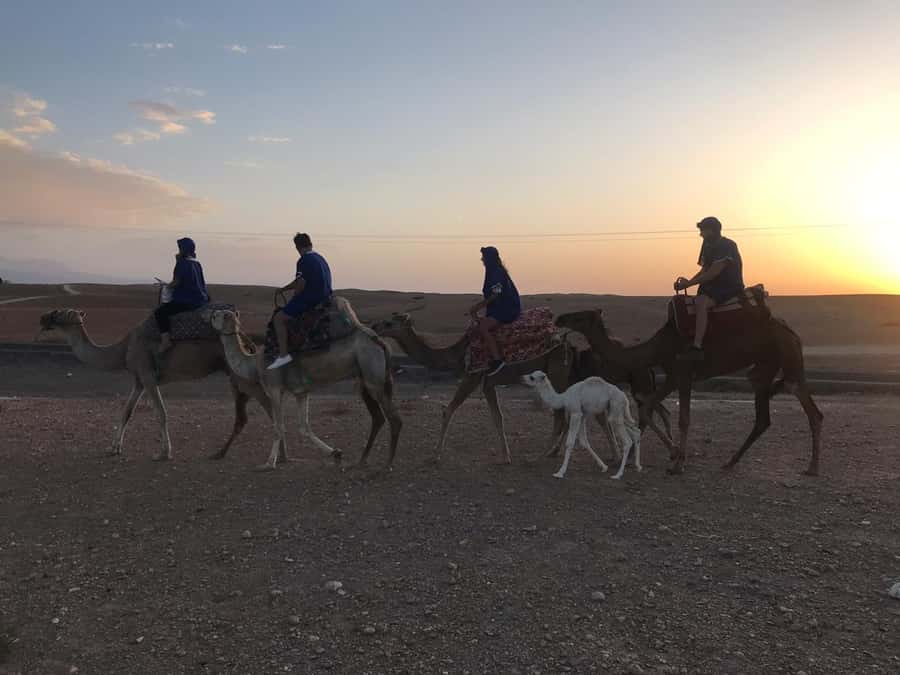 Marrakesh: Agafay Desert Quad & Camel Tour with Dinner - Dinner under a Berber tent