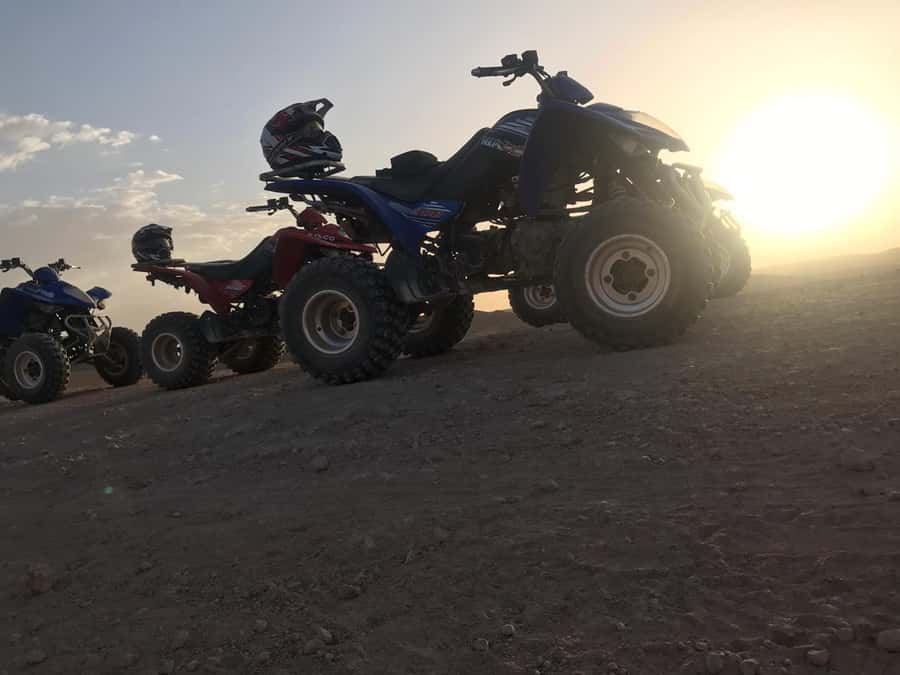 Marrakesh: Agafay Desert Quad & Camel Tour with Dinner - What the $81 price buys you