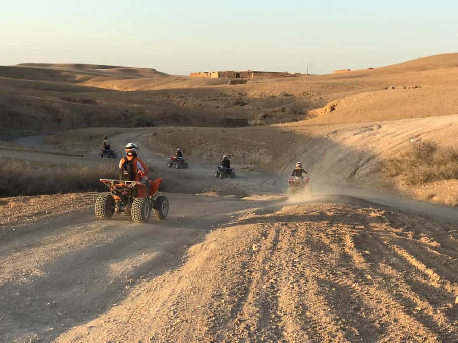 Marrakesh: Agafay Desert Quad & Camel Tour with Dinner - Who should choose this Agafay outing