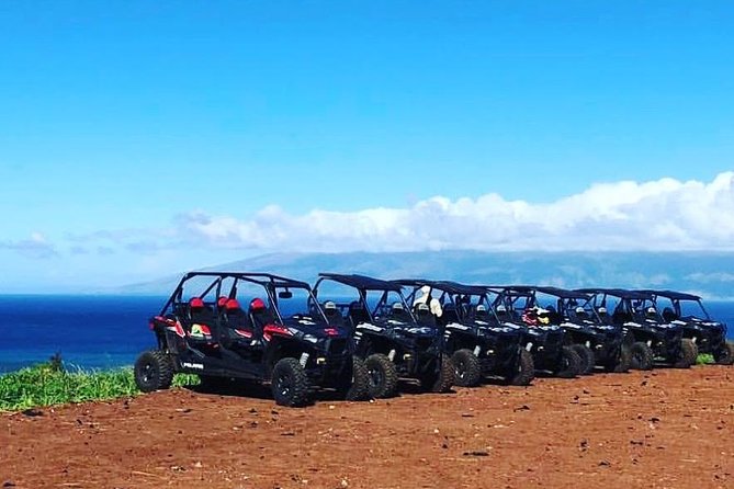 Maui: Lahaina ATV Adventure - Key points to know before you book