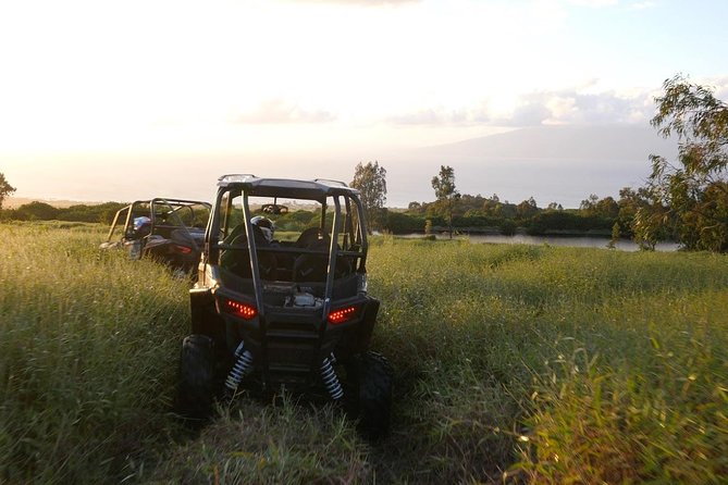 Maui: Lahaina ATV Adventure - Through dirt, brush, and former agricultural ground