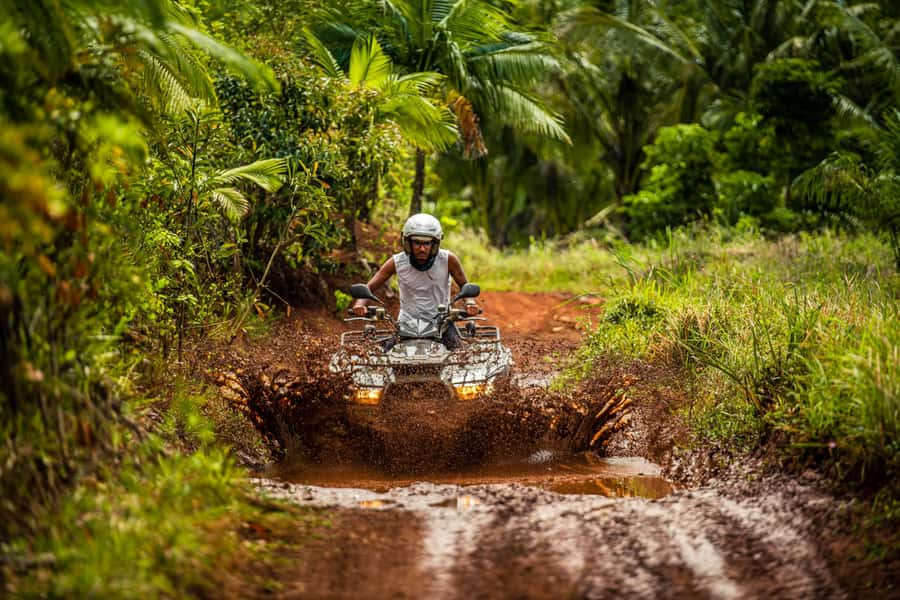 Mauritius: Bel Ombre Nature Reserve Quad Bike Tour - The waterfall stop: the tour’s refreshing reward