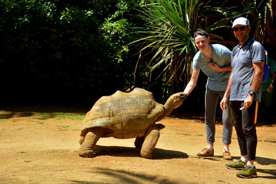 Mauritius: Full-Day Quad Bike Tour with Lunch - Rochester Falls and the chance to swim