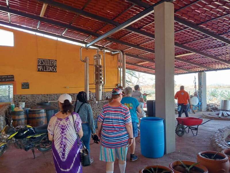 Mazatlán: Beach & Jungle ATV Tour w/ Lunch & Tequila Tasting - Is $126 a fair price?