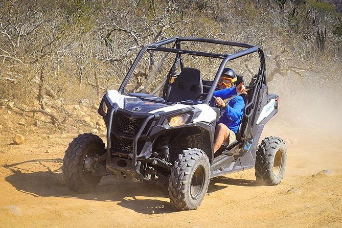 Migriño & Desert off-road Tour UTV Adventure - Is $110 a fair price for two hours?