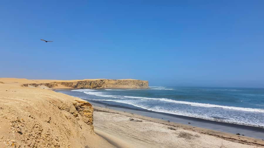 Mini Buggy GO KART in Paracas National Reserve - How the buggy ride feels for two people