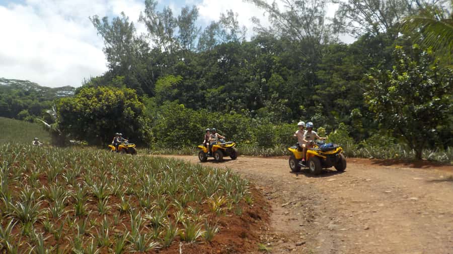 Mo'orea: Guided ATV Nature Tour - Why this ATV ride is a good way to see Moorea