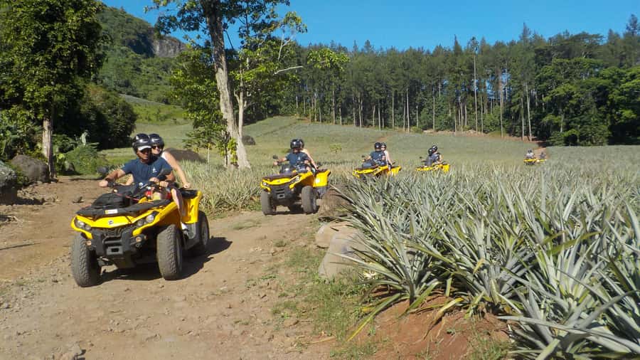 Mo'orea: Guided ATV Nature Tour - Crossing rivers, plantations, and pineapple fields