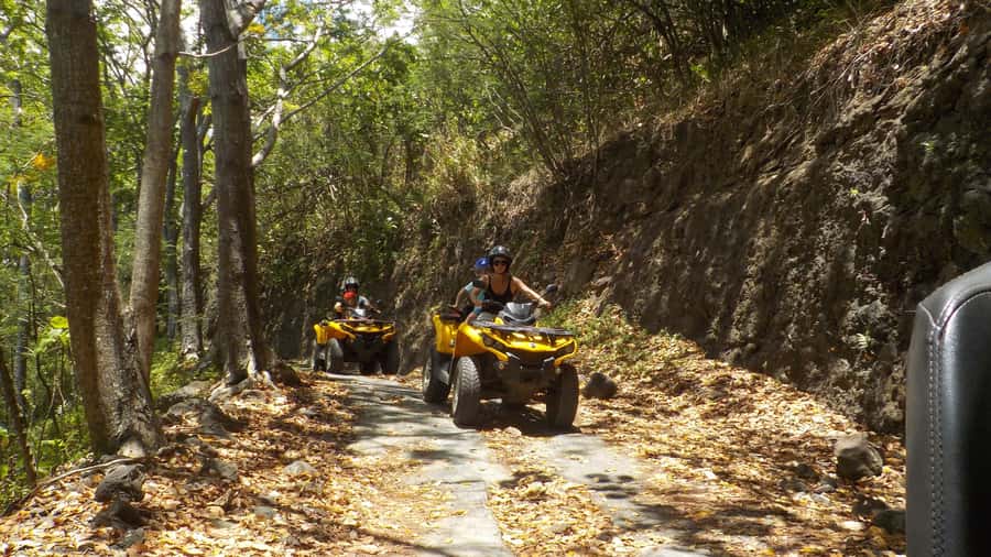 Mo'orea: Guided ATV Nature Tour - Who should book this Moorea ATV tour?