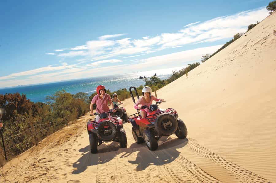 Moreton Island: Tangalooma ATV Quad Bike and Dolphin Viewing - Key points to know before you book