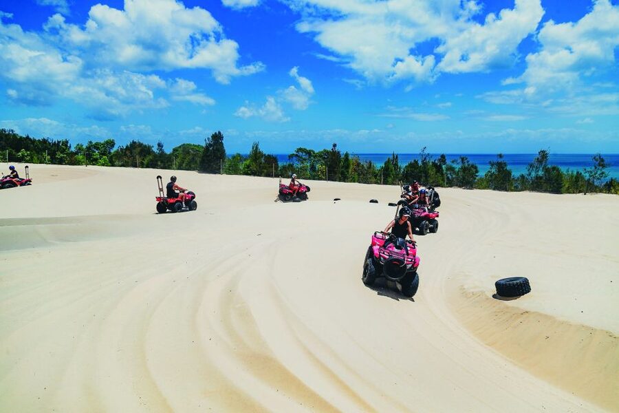 Moreton Island: Tangalooma ATV Quad Bike & Dolphin Feeding - Should you book this tour?