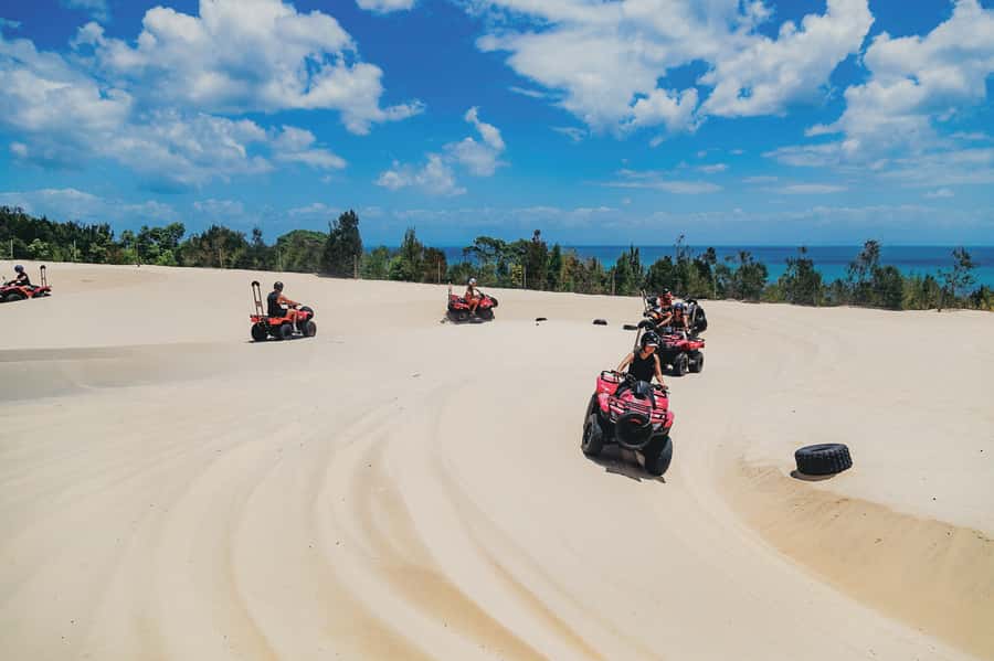 Moreton Island: Tangalooma ATV Quad Bike & Dolphin Feeding - How the wild dolphin feeding works