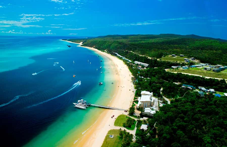 Moreton Island: Tangalooma ATV Quad Bike & Dolphin Feeding - Timing, crowds, and the real value of $172