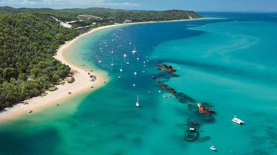 Moreton Island: Tangalooma Day Trip with ATV Quad Bike Tour - Lunch with a $25 resort voucher