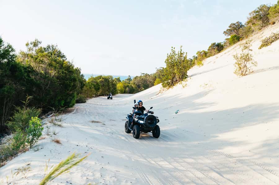 Moreton Island: Tangalooma Day Trip with ATV Quad Bike Tour - Returning to Brisbane at 4pm