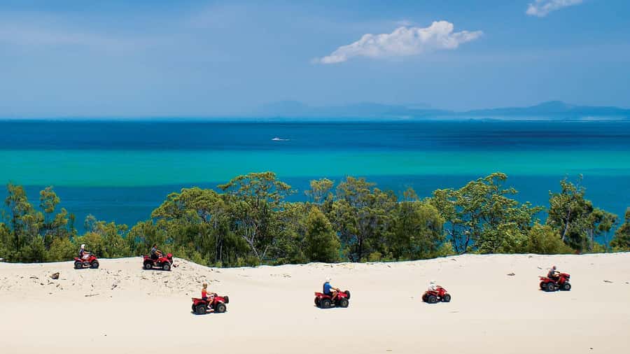 Moreton Island: Tangalooma Day Trip with ATV Quad Bike Tour - What the $119 price really buys